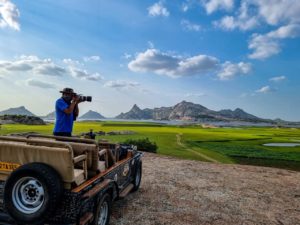 Jawai Safari
